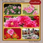 National Flower Series - East Asia 2- China (Mudan) - Unofficial