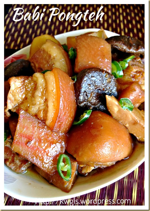 Stewed Meat With Fermented Soya Bean – Babi Pongteh （娘惹豆瓣酱燜蹄膀）